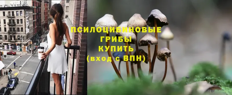 закладка  Новоульяновск  это какой сайт  Псилоцибиновые грибы MAGIC MUSHROOMS 